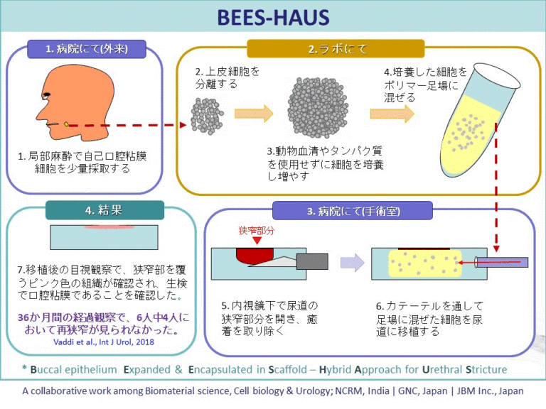BEES-HAUS