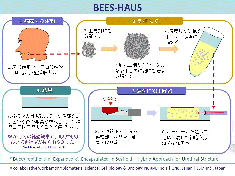 BEES-HAUS