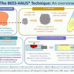 BEES-HAUS2-1-768x576