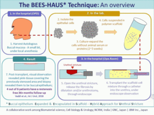 BEES-HAUS2-1-768x576