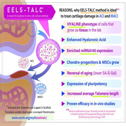 「必須成分が豊富で、足場で保持された、移植に適した​自家組織活用型の軟骨細胞」EELS-TALC